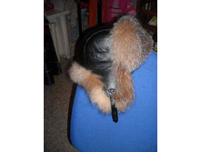 ����� ��������.