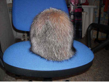 ���� ��������.JPG