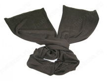 ���� V. Fraas. ���. 699-667-1-001.jpg