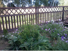 ����������� 012.jpg