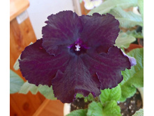 DS-������ ����� 2.jpg