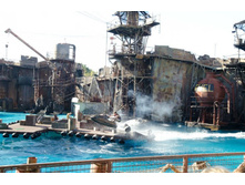 ��� "������ ���"