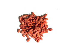 552 �. ����� �����. �������. ��������. 300 ��.