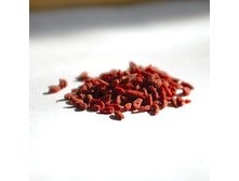 520 �. ����� �����. ������. ��������. 300 ��.