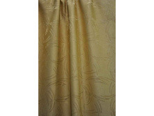 Coral23244 v101 254���..JPG