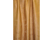 Coral23244 v105 254���..JPG