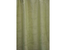 Coral23244 v706 254���..JPG