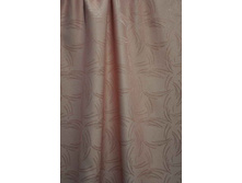 Coral23244 v������� 254���..JPG