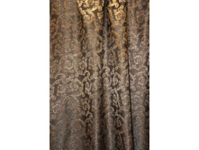 Coral47314v2 283���..JPG