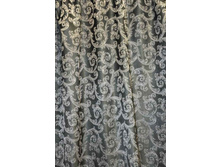 Coral47314v3 283���..JPG