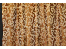 Coral47314v4 283���..JPG