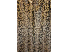 Coral47314v5 283���..JPG