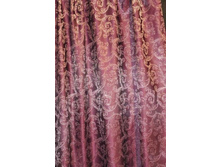 Coral47314v8 283���..JPG