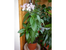 ��������� ������