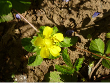 �������,����� ��� ��������������