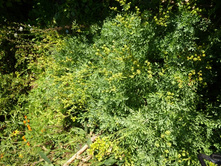 19.08.2013 22:28:04 ����