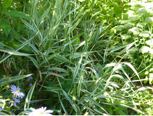 �������,����������� 20�.