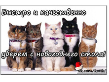 ���������� ������.jpg