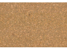 Sp*ir*it - new! 1159���./�2+%