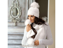 ALISA (�����+����)