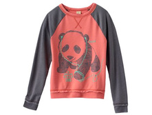 ����:	736	���.