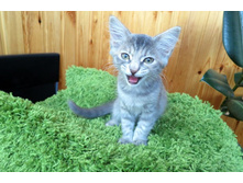 ���� 022-001.jpg