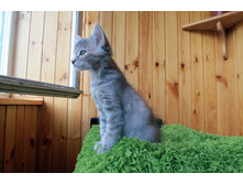 ���� 015-001.jpg