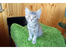 ���� 016-001.jpg