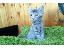 ���� 019-001.jpg