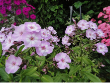 �����   ���� ����