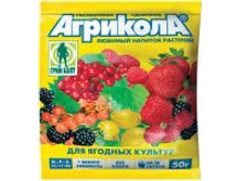 �������� 8 (�����).jpg