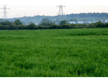 ������� ������� � ����?!?! =))