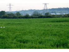 ������� ������� � ����?!?! =)) ���???