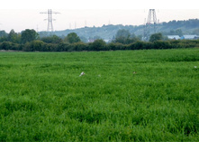 ������� ������� � ����?!?! =)) ������!!!