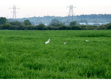 ������� ������� � ����?!?! =)) ���???