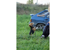 ������� �� �����: ���� �� ������ ����! =)