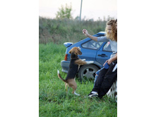 ������� �� �����: ������ �� �����! =)