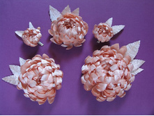 ��������� ��������, ����������