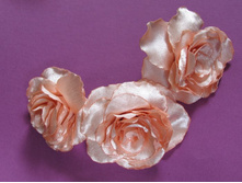 ���� �� ����������� ������