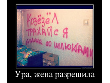 38591584_ura-zhena-razreshila.jpg