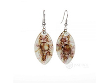 ������ Zulu  979 ���.