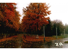 62.jpg