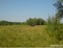 ������ ��ӣ��� �� ����