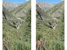 ������ 1.jpg