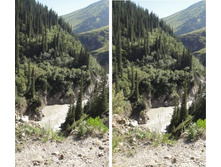 ������ 2.jpg