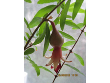 �������� ������