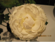 ���� ��������