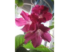 �������� ������