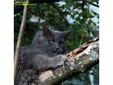 DSCF2020 �����.jpg