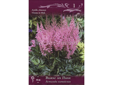 �������� ����� �� ����